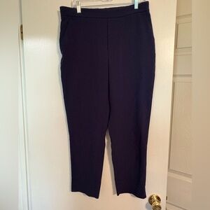 Banana Republic Women's Navy pull on pants - sz 12